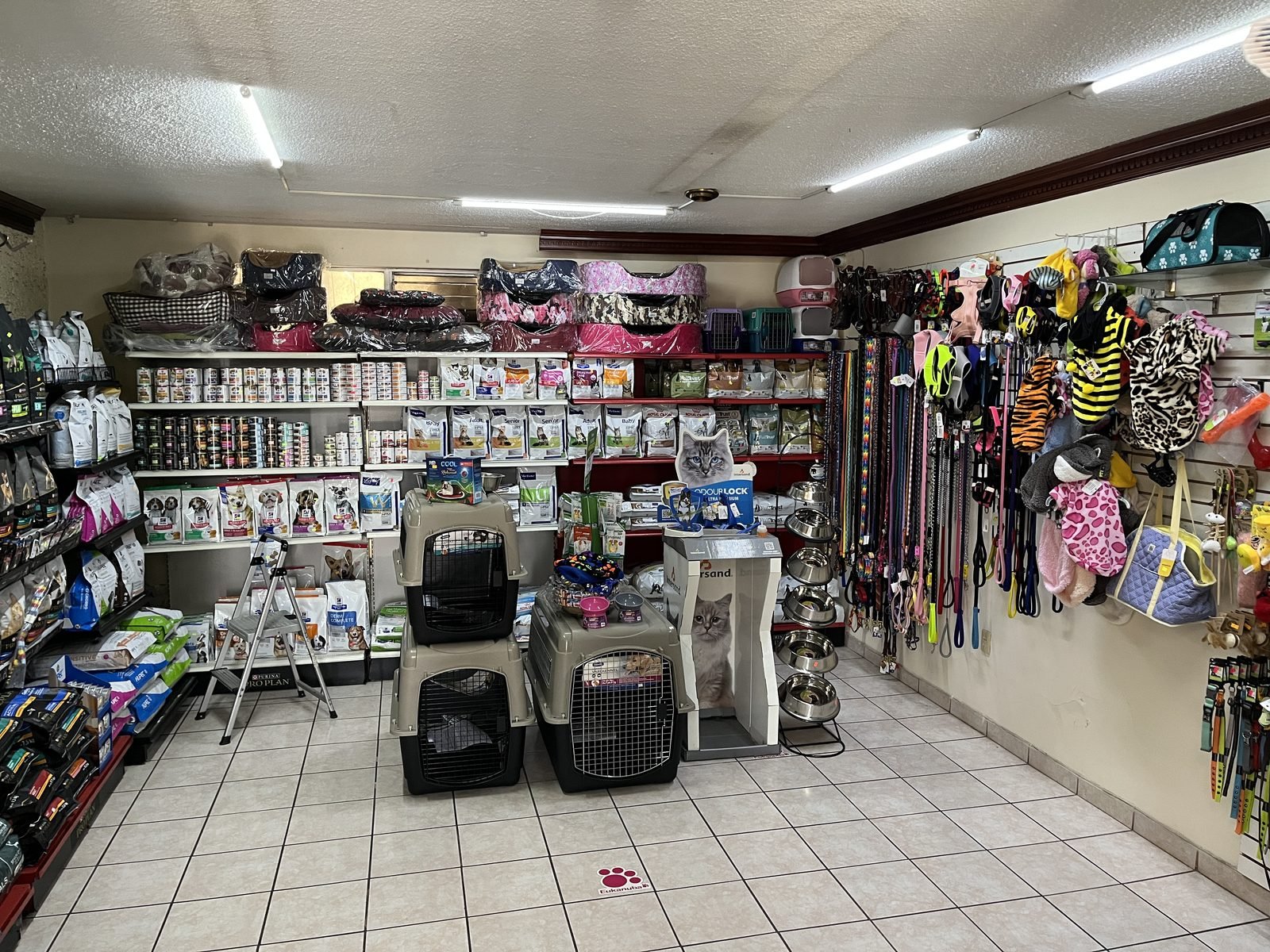 Tienda de alimento y accesorios